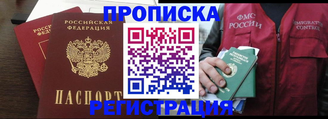 прописка законно в Заринске